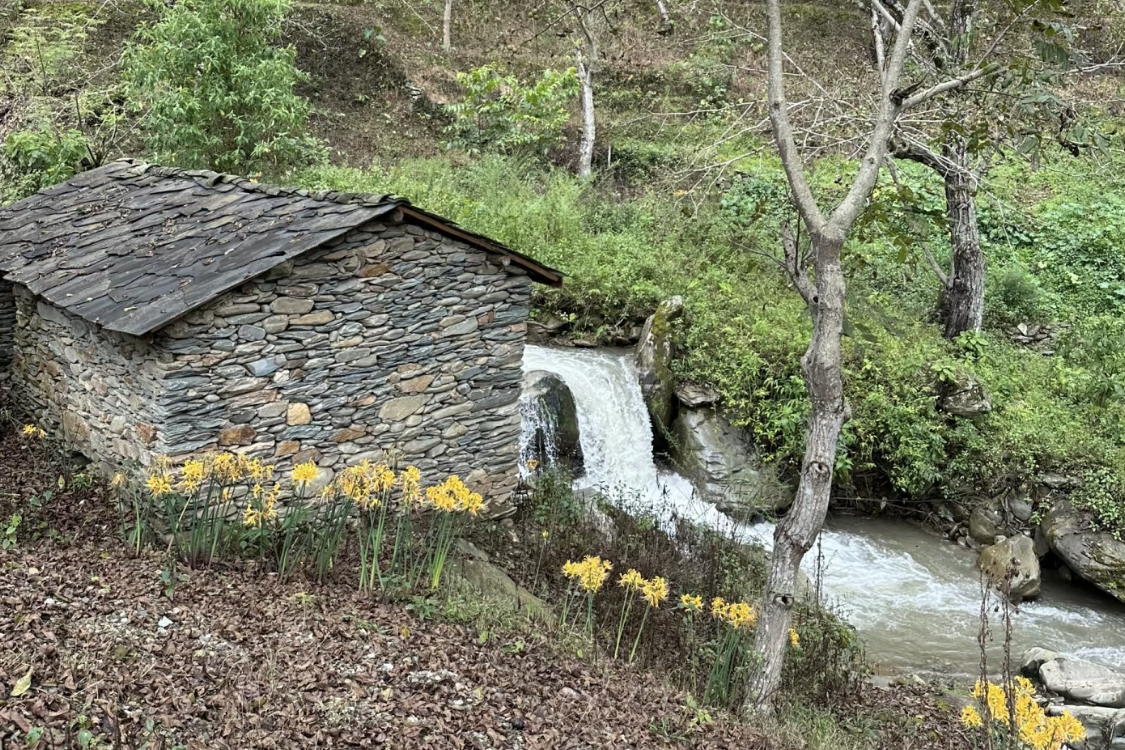 Ancient Tea Horse Road - Gumo Section